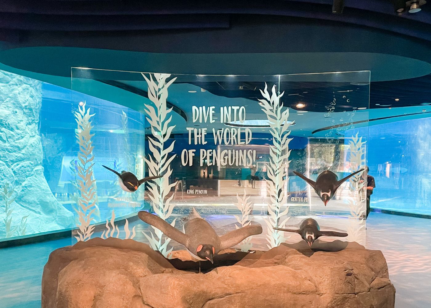 Best things to do at Bird Paradise Our mustread guide