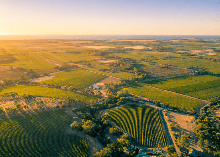 A guide to Adelaide and its amazing wine regions