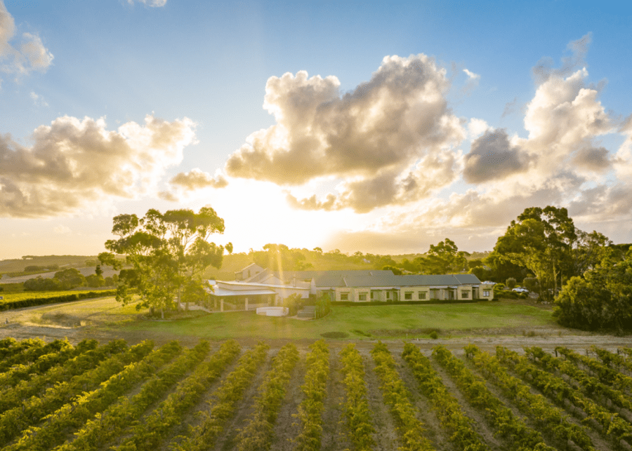 Adelaide wine region-8