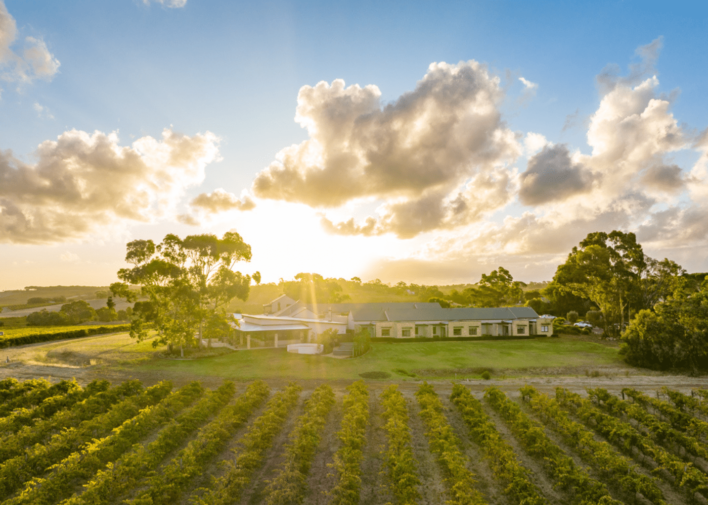 A guide to Adelaide and its amazing wine regions