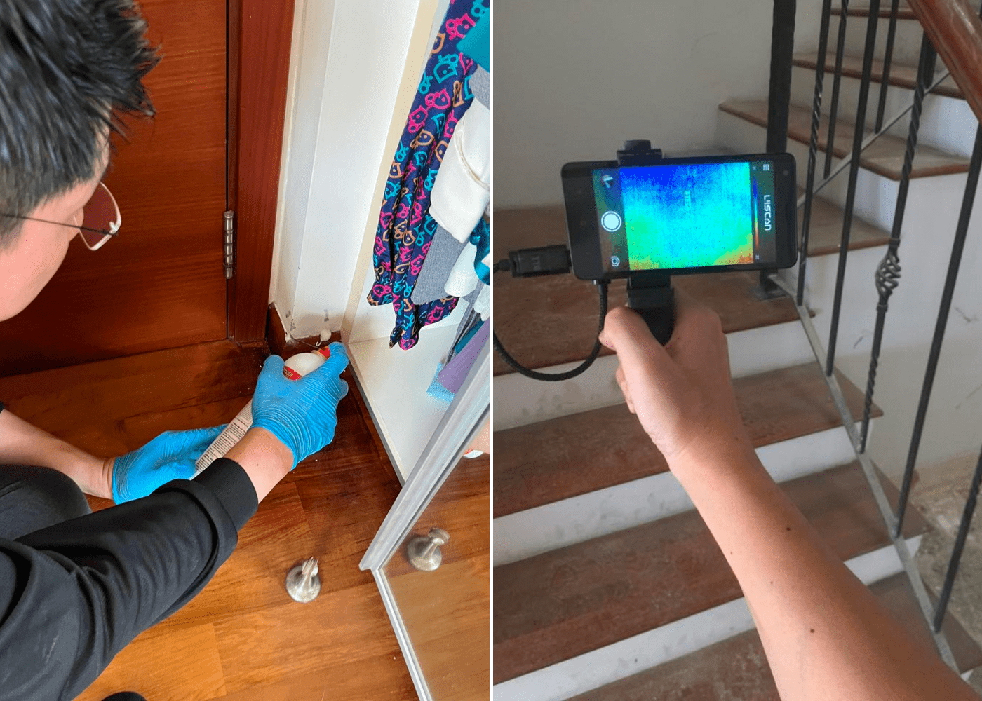 Top pest control services in Singapore for your home