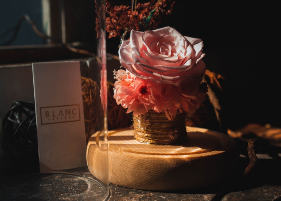 Bloomback | Preserved flowers in Singapore