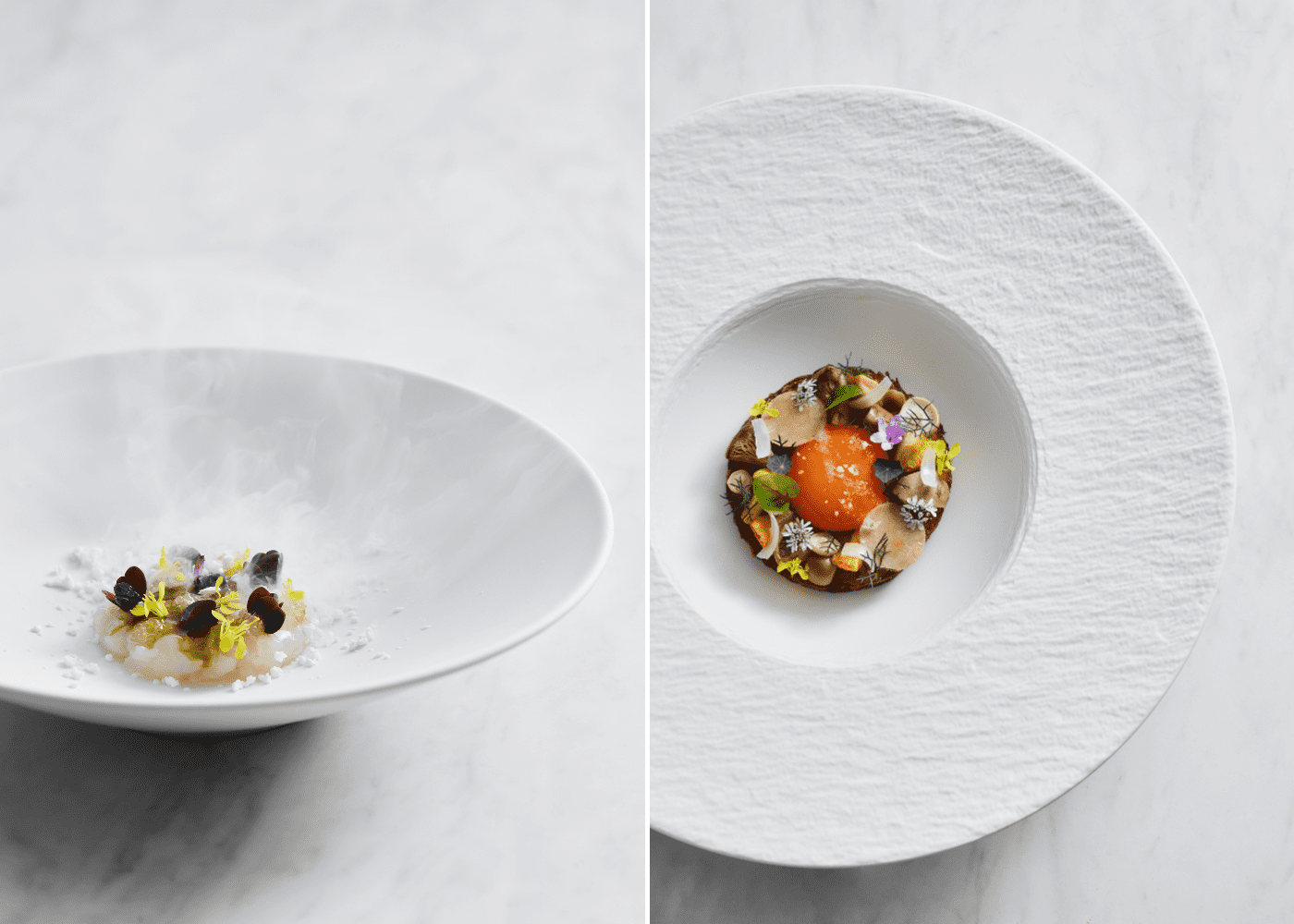 Roia review: French cuisine inspired by Singapore Botanic Gardens