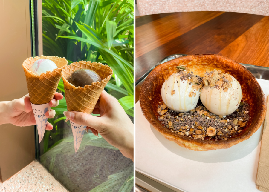 Mandai Wildlife West Birds of Paradise