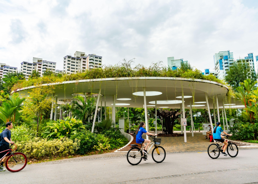 jurong lake gardens - free things to do in singapore