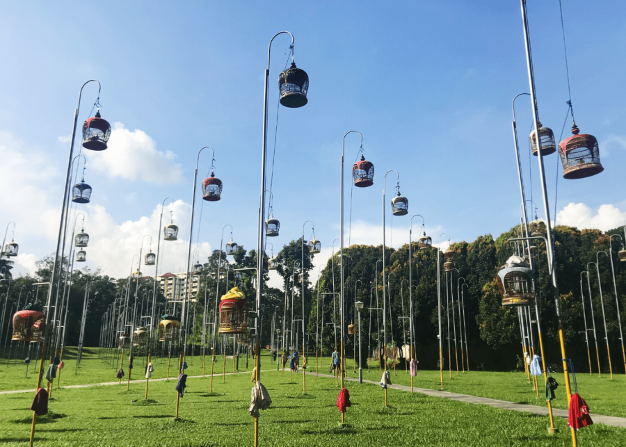 kebun baru birdsinging club - free things to do in singapore