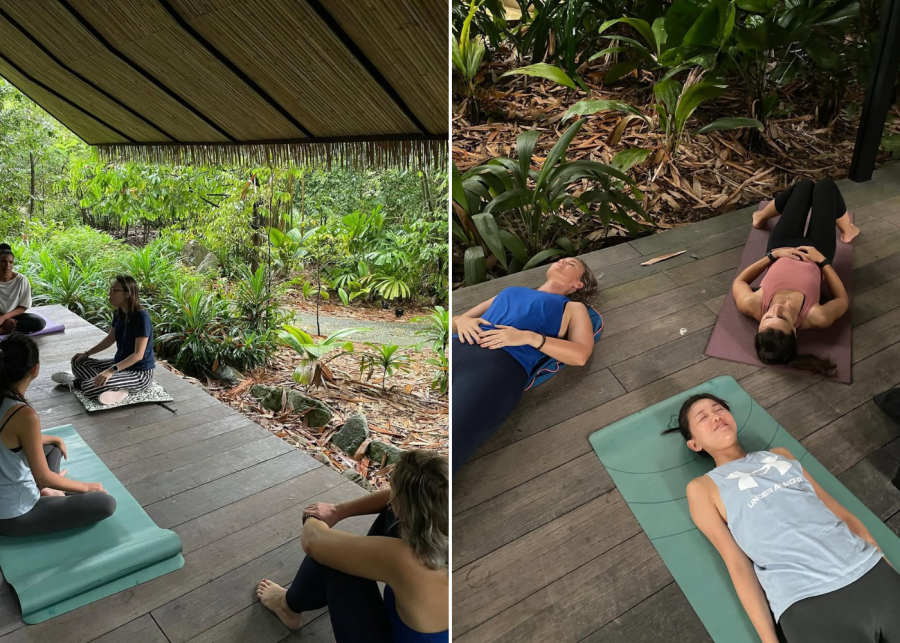 Forest bathing at the Singapore Botanic Gardens | Pride Month Pink Dot Pink Fest events in Singapore 2025