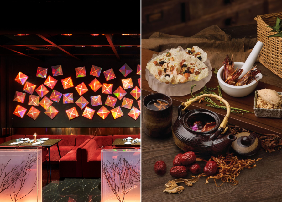 unique dining experience singapore | synthesis food