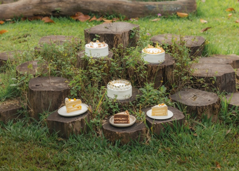 13 Best Cake Delivery Services In Singapore For Celebrations
