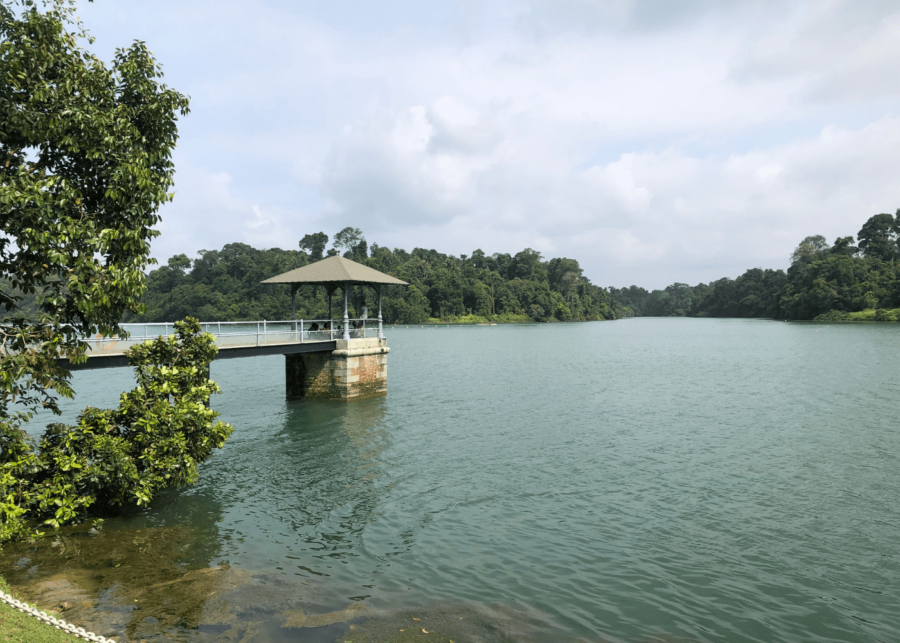 MacRitchie Reservoir - haunted places in singapore