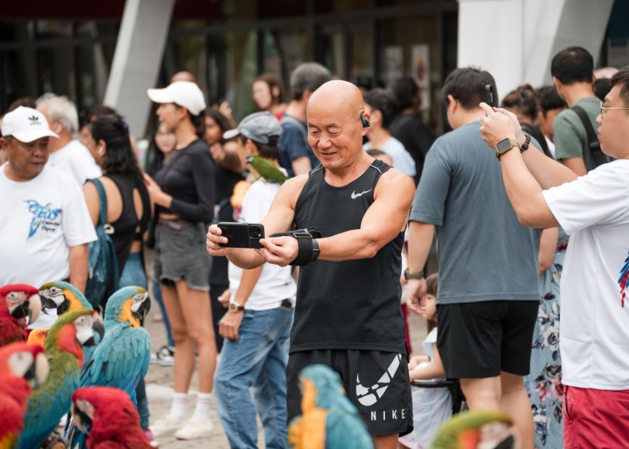 majulah-fiesta-2024-singapore-sports-hub-birds-display