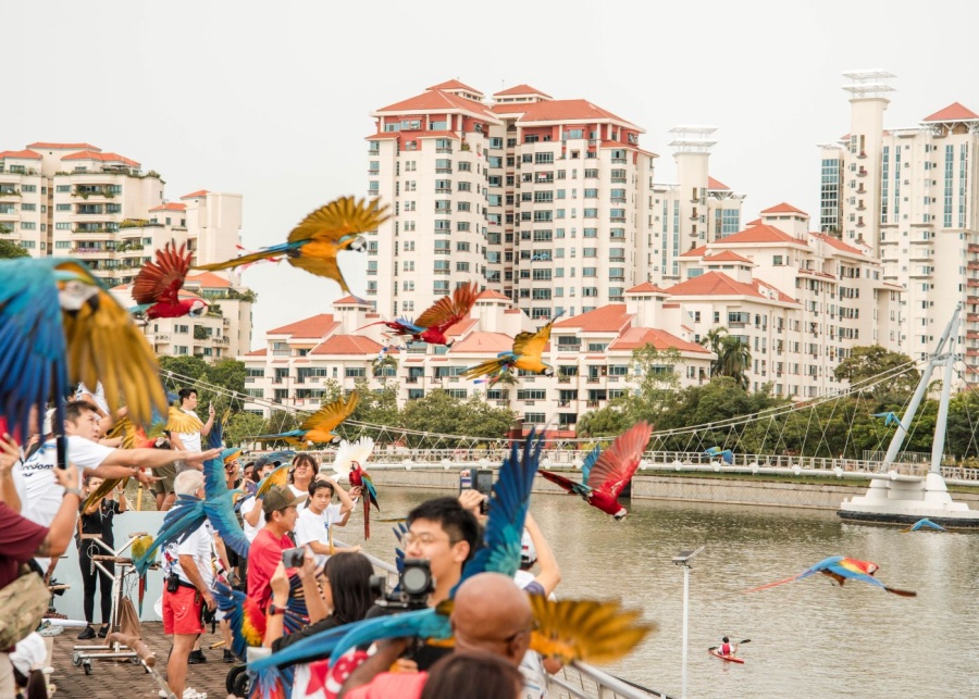 majulah-fiesta-2024-singapore-sports-hub-parrots-display