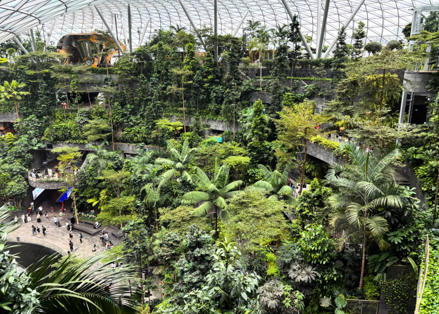 forest valley - jewel changi airport