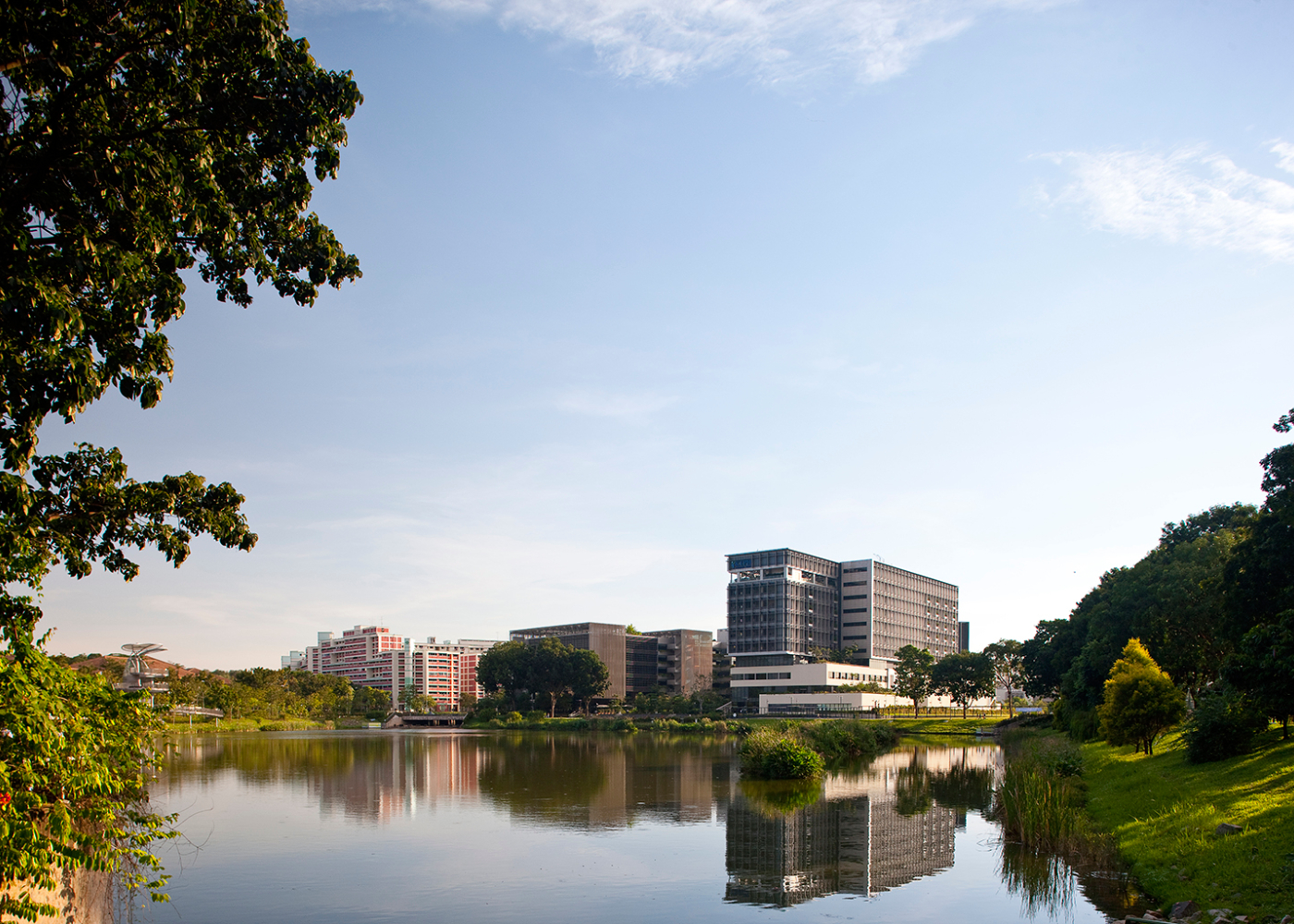 yishun singapore honeycombers