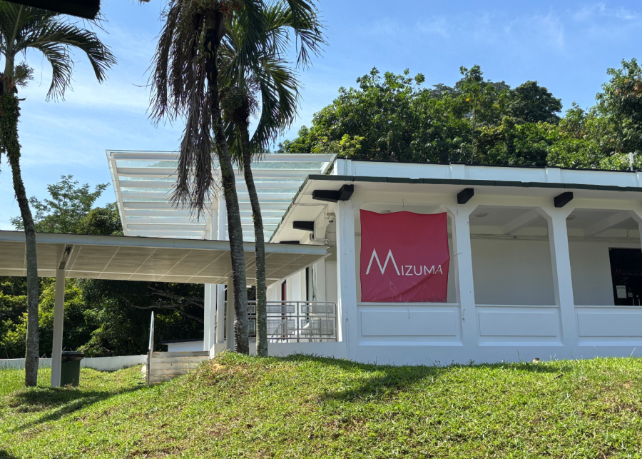 mizuma gallery - gillman barracks singapore