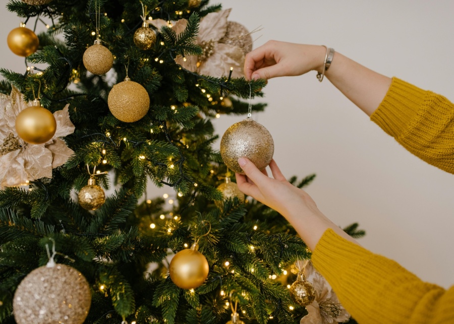 Where to buy Christmas trees in Singapore for the 2025 holidays