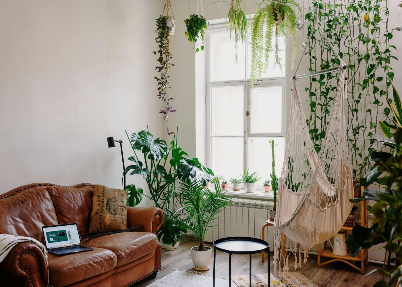 best-furniture-stores-singapore-living-room-with-plants-vintage-sofa.jpg