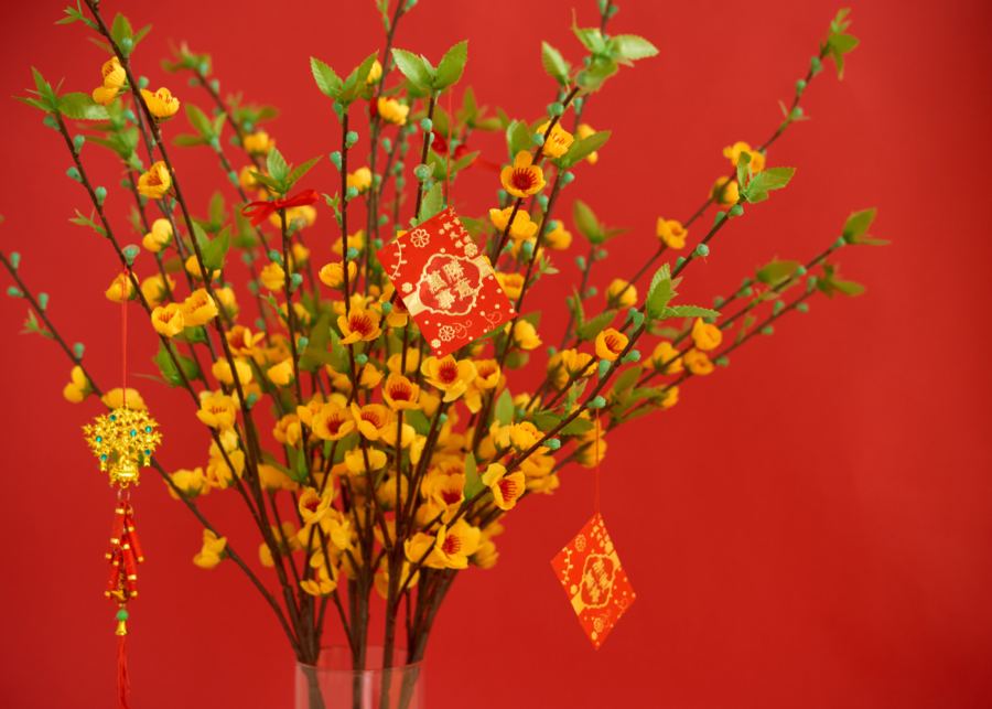Auspicious Chinese New Year plants and flowers in Singapore to bring luck into your home