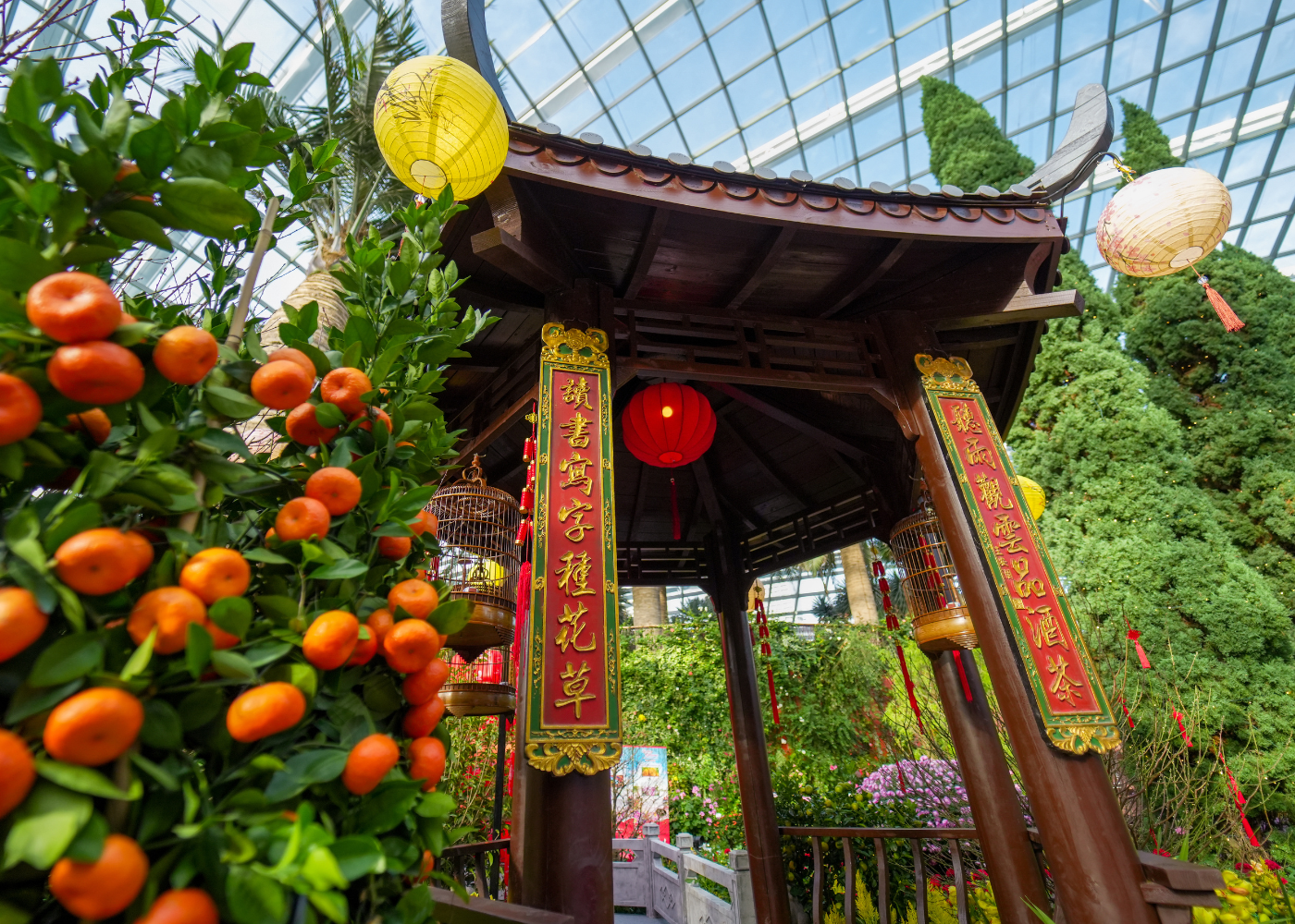 chinese new year events singapore 2025 | spring blossoms at gardens by the bay