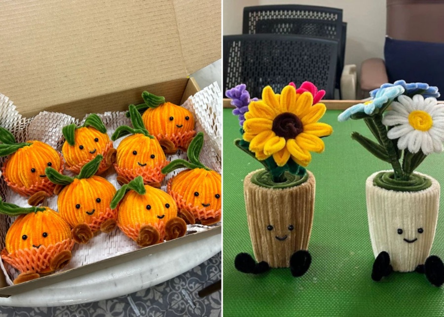 cny gifts singapore carer