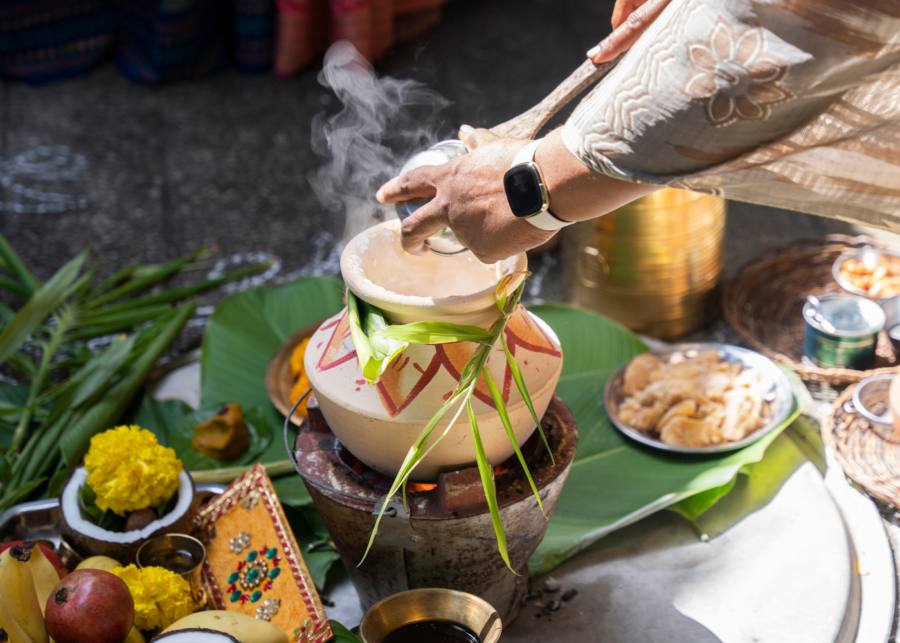Pongal in Singapore: All you need to know about the spirited harvest festival