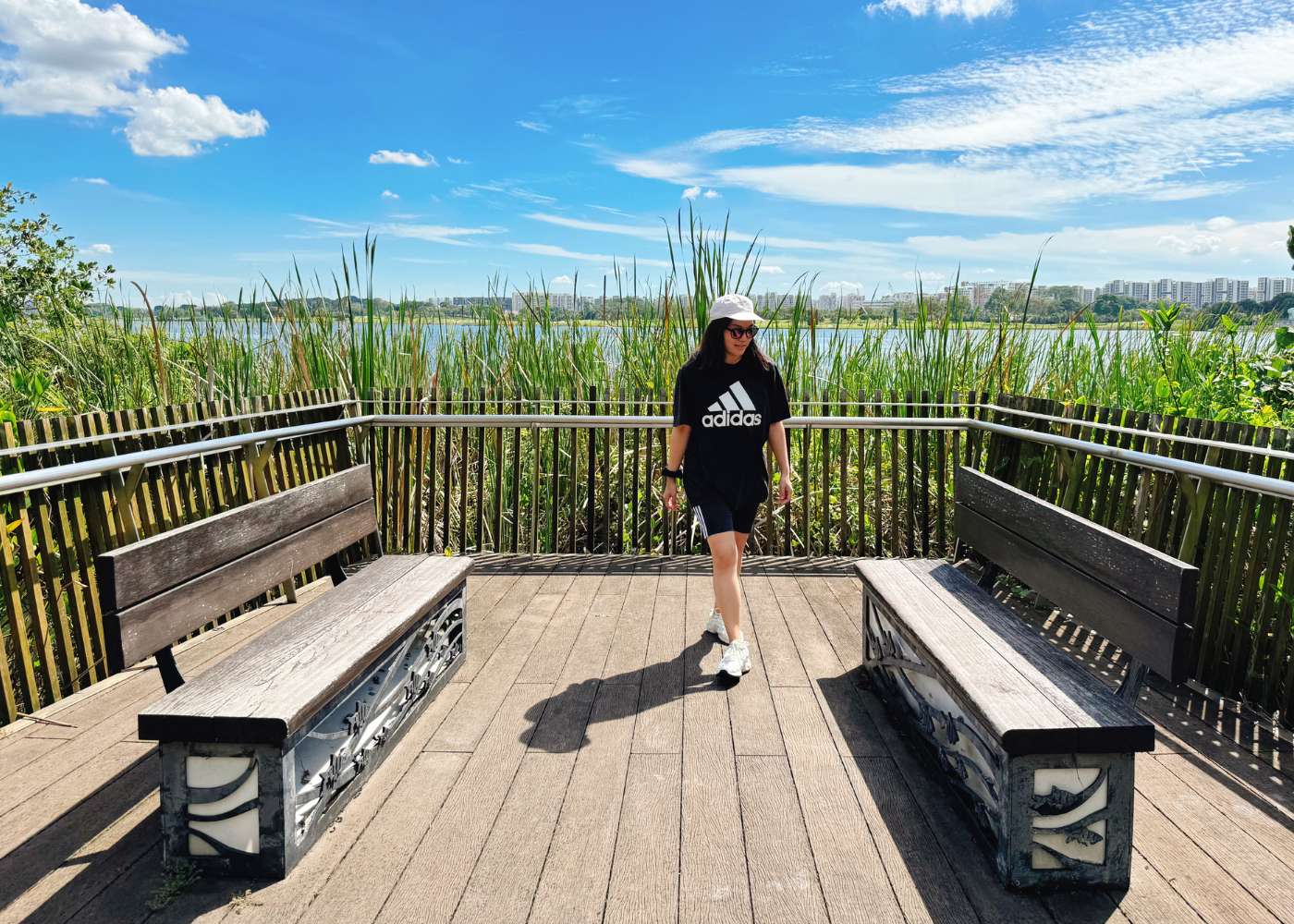 hiking in singapore | rowers bay park boardwalk