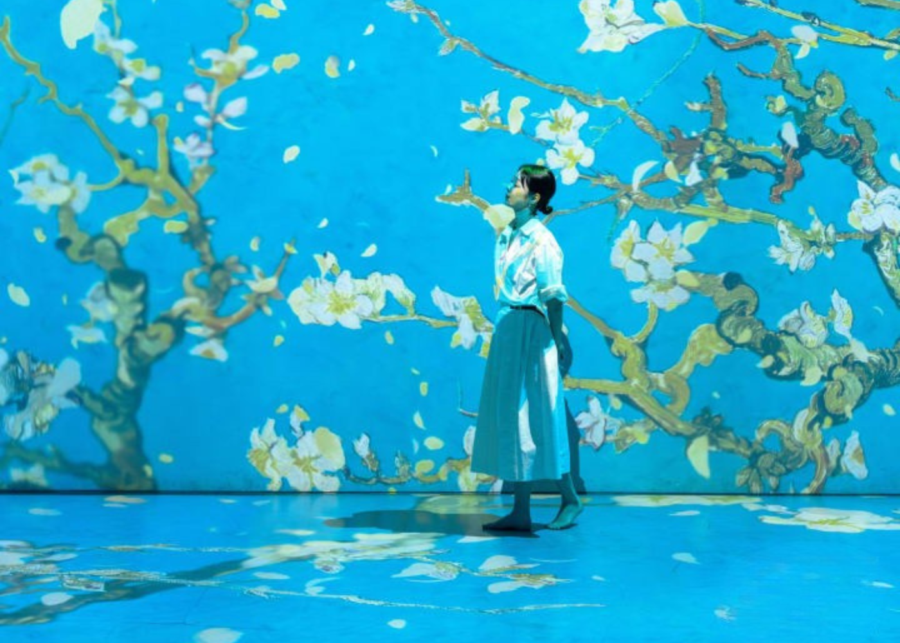 Van Gogh Inside-exhibition-things-to-do-in-may-singapore