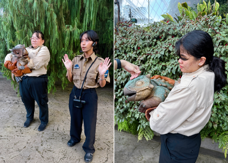 jurassic world the experience | petting zoo