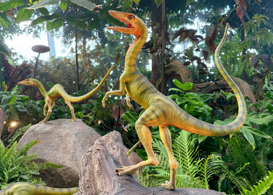 jurassic world the experience singapore | compsognathus pack