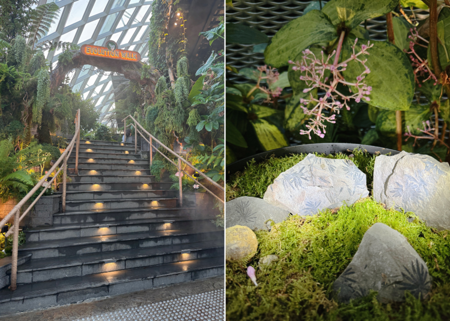 jurassic world the experience singapore | evolution walk