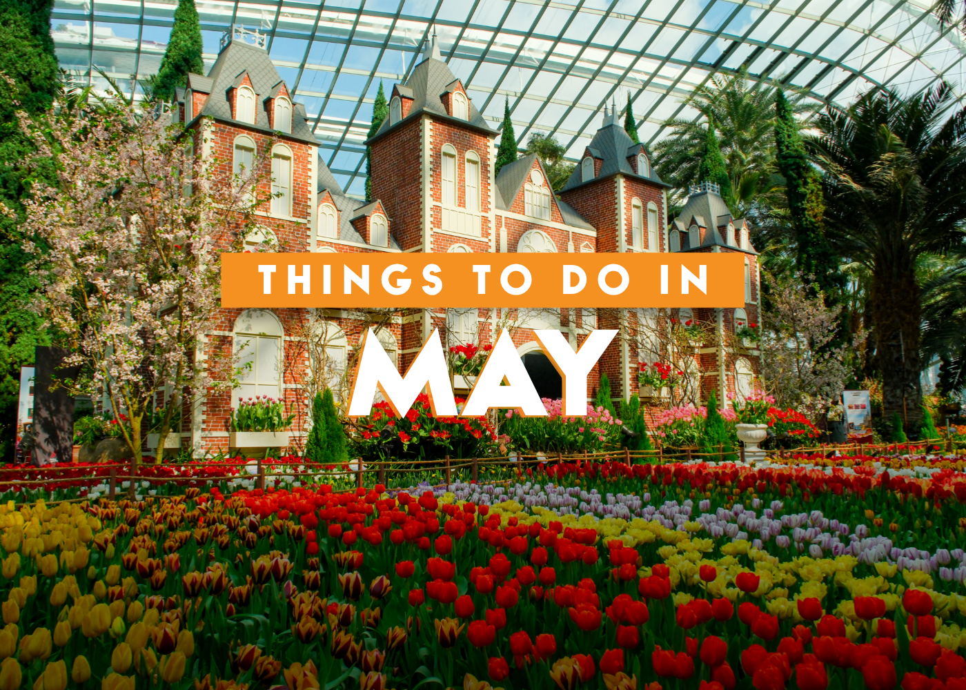 Things to do in Singapore in May 2026: Exhibitions, concerts, pop-ups, and more