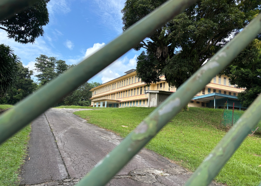 hawkins road refugee camp walking tour