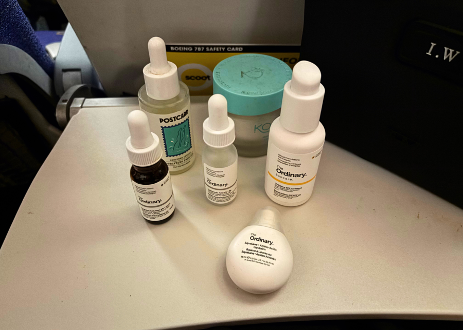 long haul economy flight tips