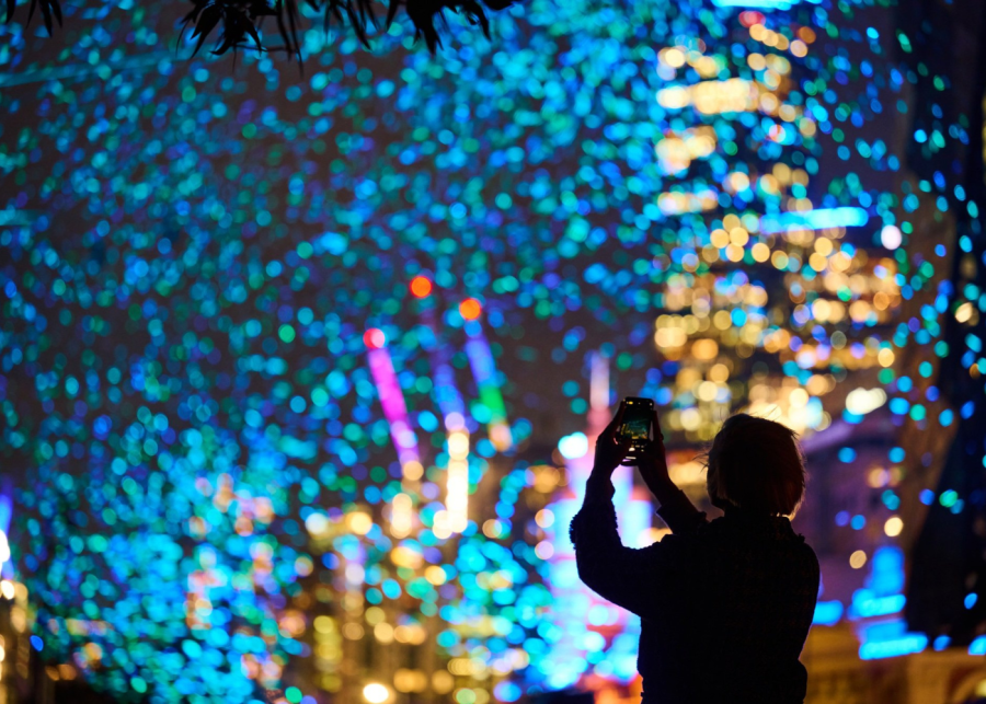 gardens by the bay - national day events singapore