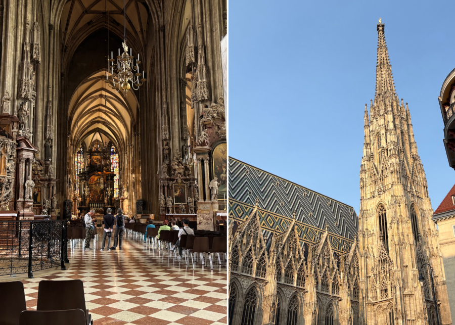 st stephen's cathedral - top 10 things to do in vienna