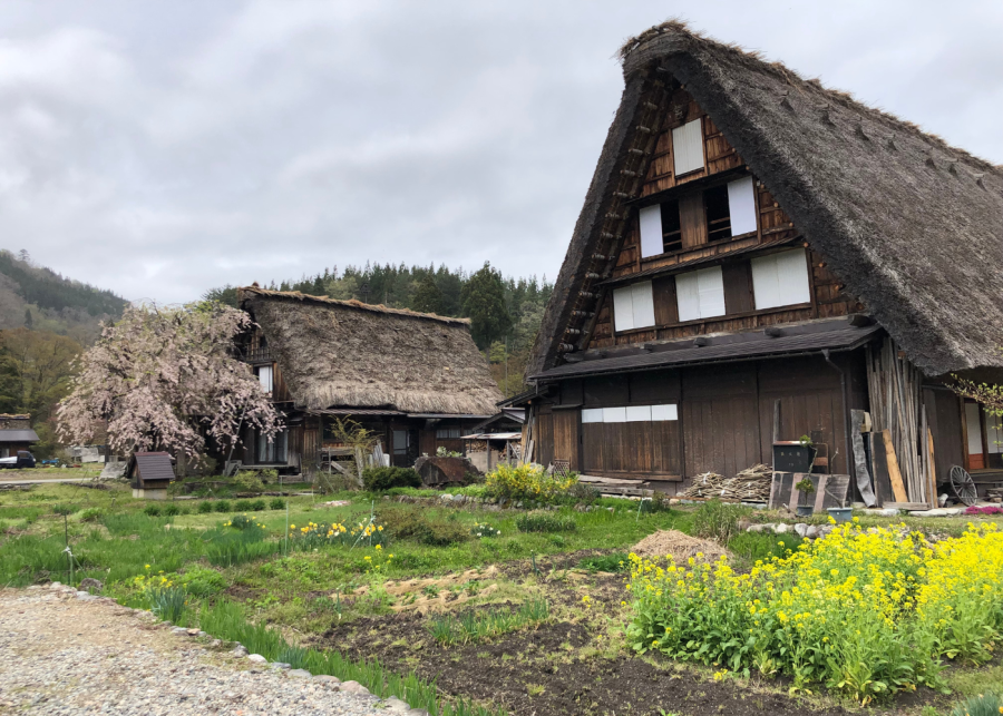 takayama things to do shirakawa go