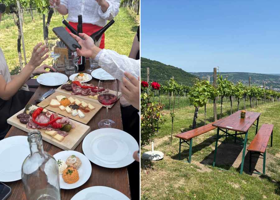 vienna vineyards wine - top 10 things to do in vienna