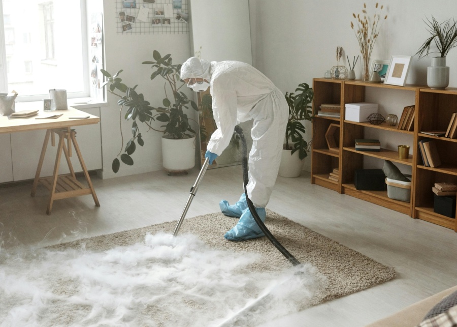 10 best carpet cleaning services in Singapore (2025)
