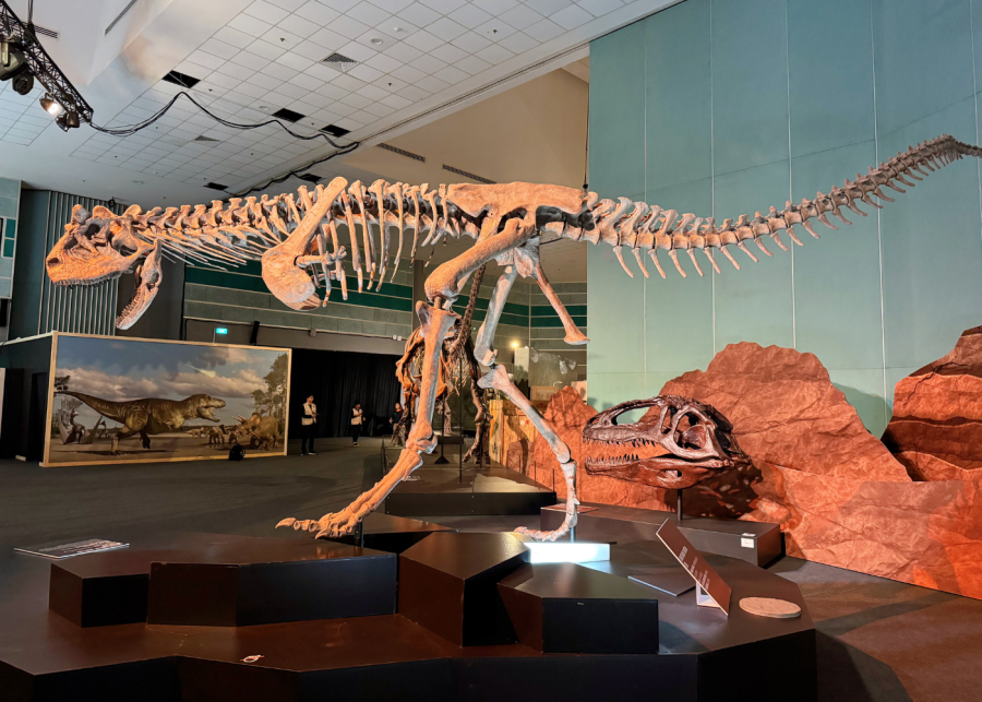 dinosaur exhibition carnotaurus