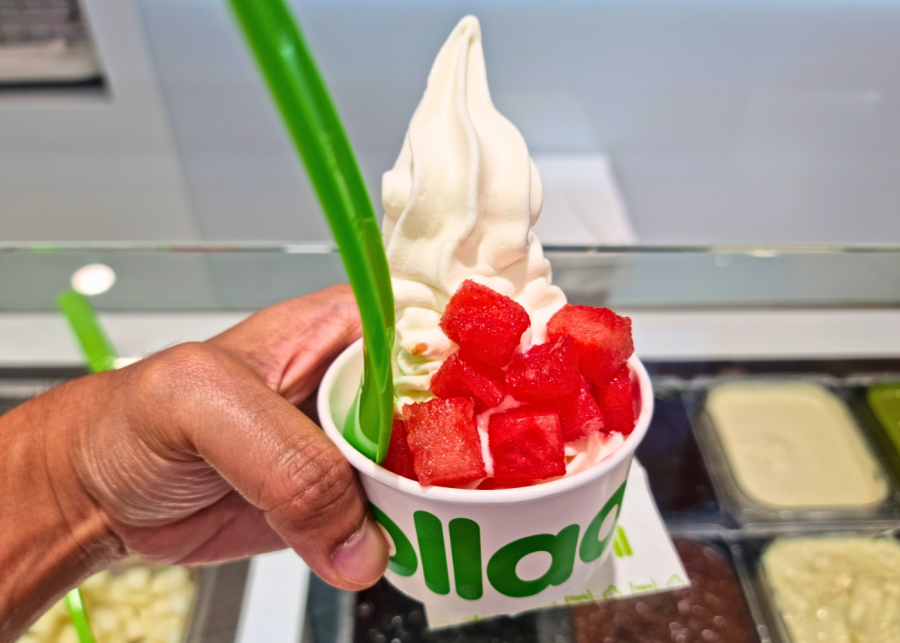 Llaollao | Frozen yogurt froyo in Singapore
