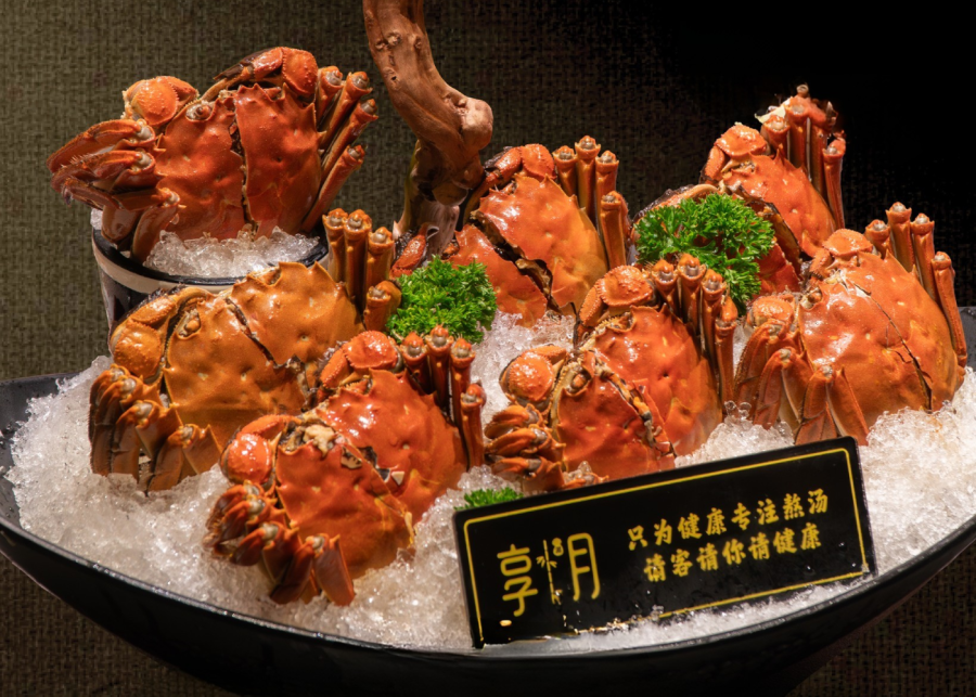 chamoon hot pot - hairy crab singapore