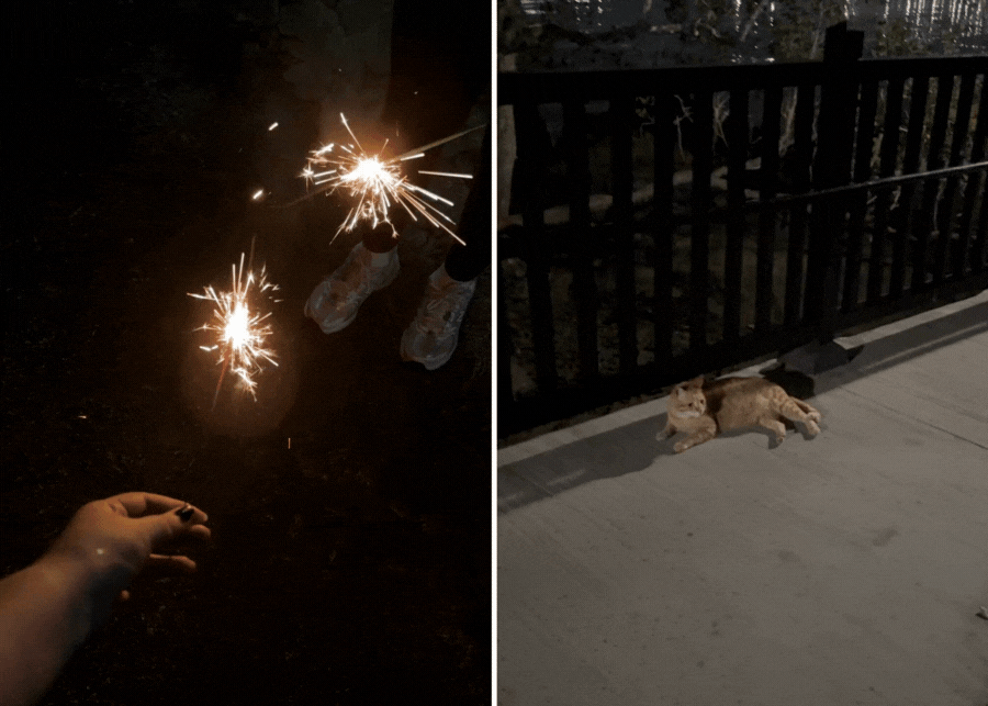 haunting heritage tours pulau ubin tour review