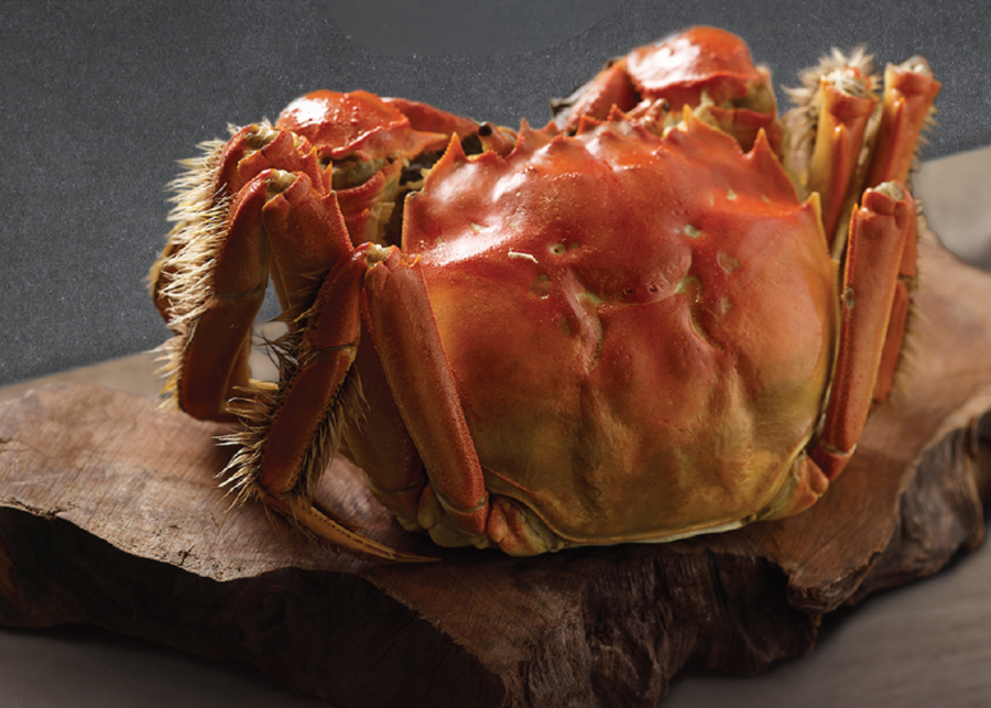 imperial treasure - hairy crab singapore