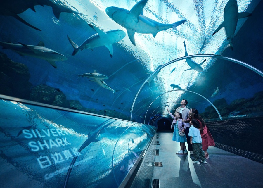 sentosa staycation oceanarium