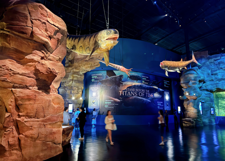 singapore oceanarium ancient waters