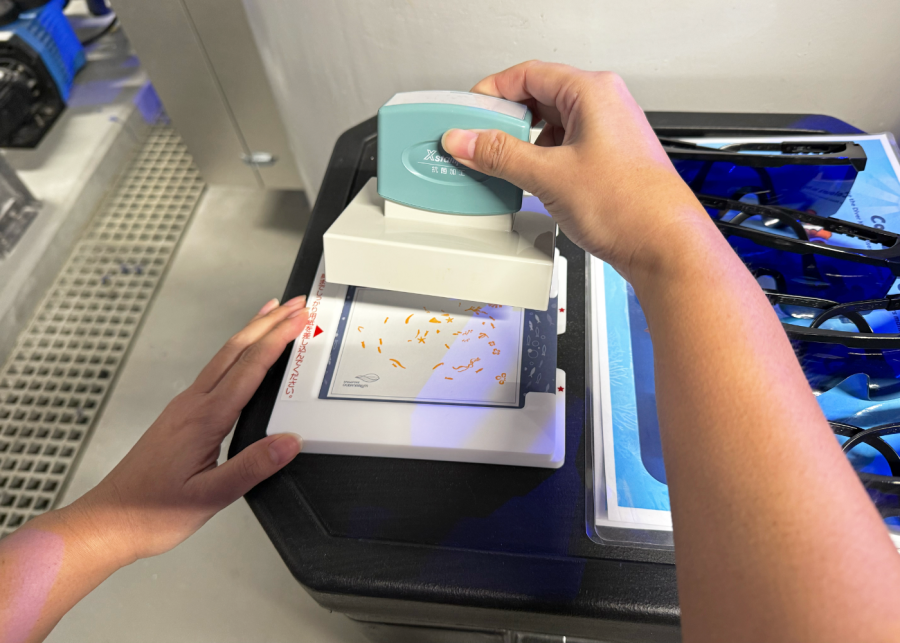 singapore oceanarium insider experience stamp souvenir