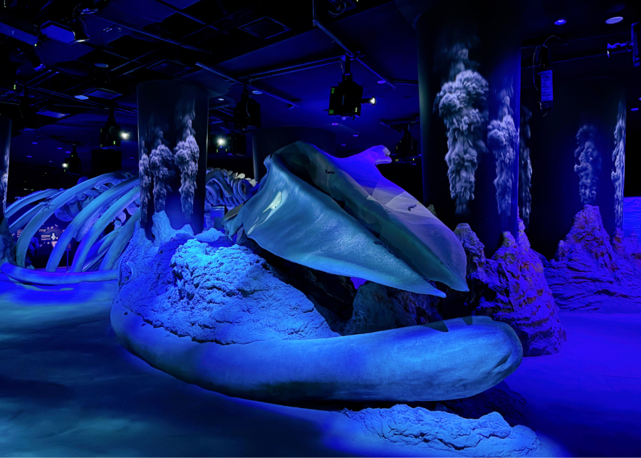 singapore oceanarium whale fall and seamount
