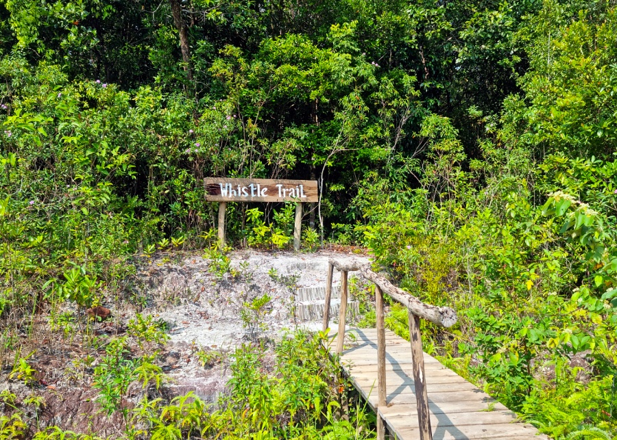 Entry to the Whistle Trail | Tanjung Kelayang Reserve, Belitung Island, Indonesia