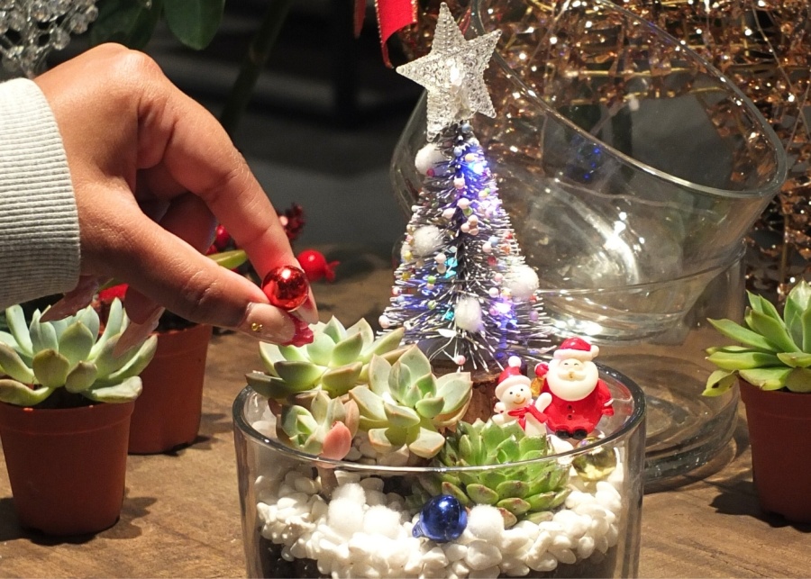 Far East Flora Christmas 2025 - DIY Christmas terrarium workshop