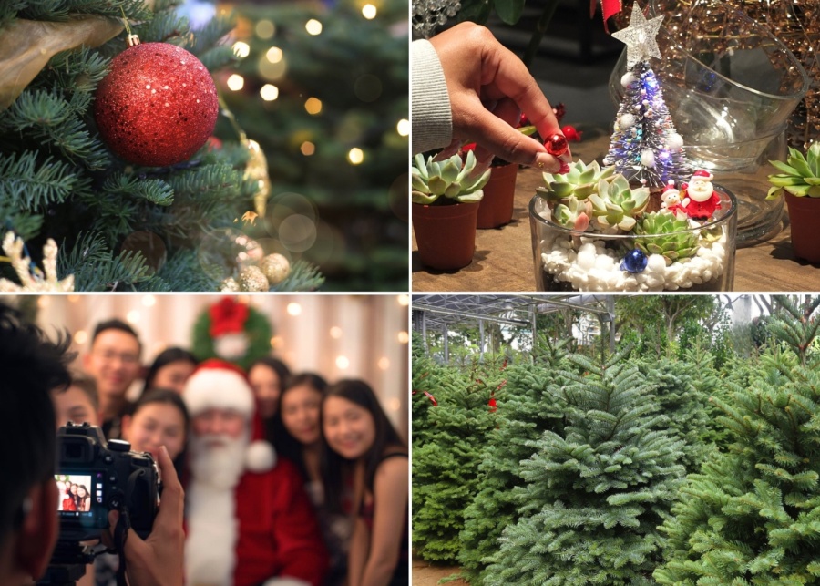 Get in the mood for Christmas | Honeycombers